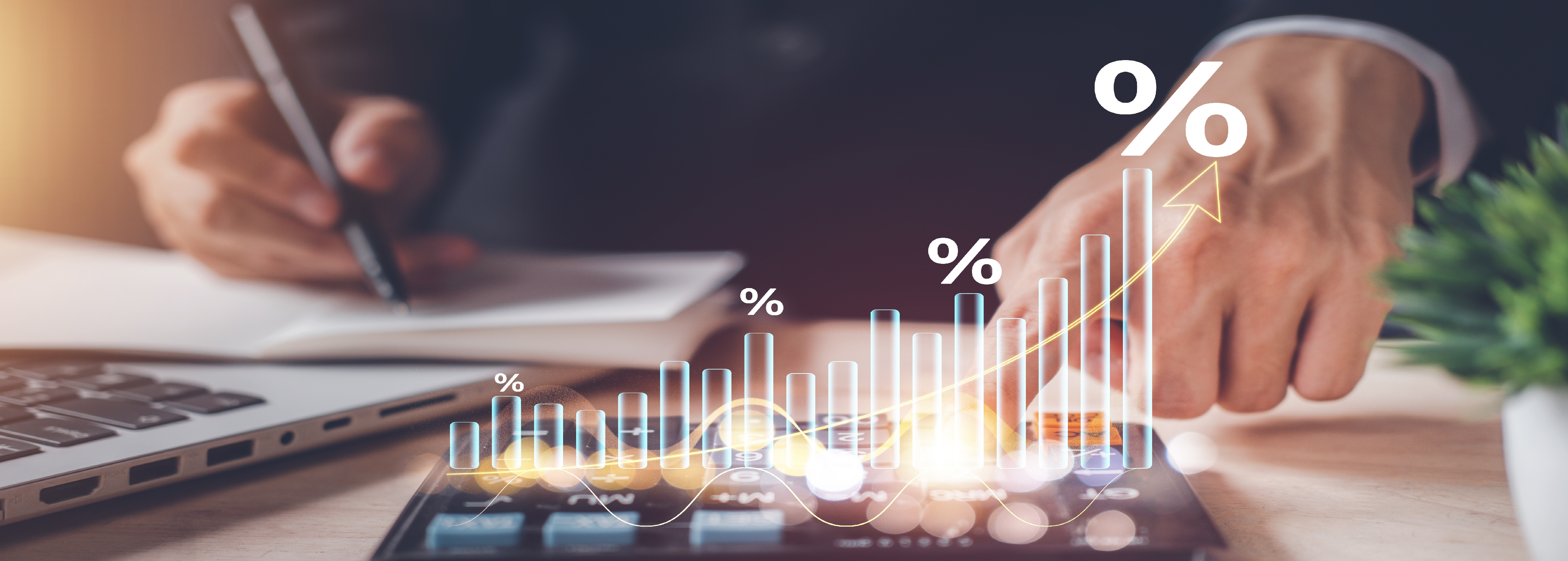 Vadeli Mevduat Faiz Getirisi Nasıl Hesaplanır?